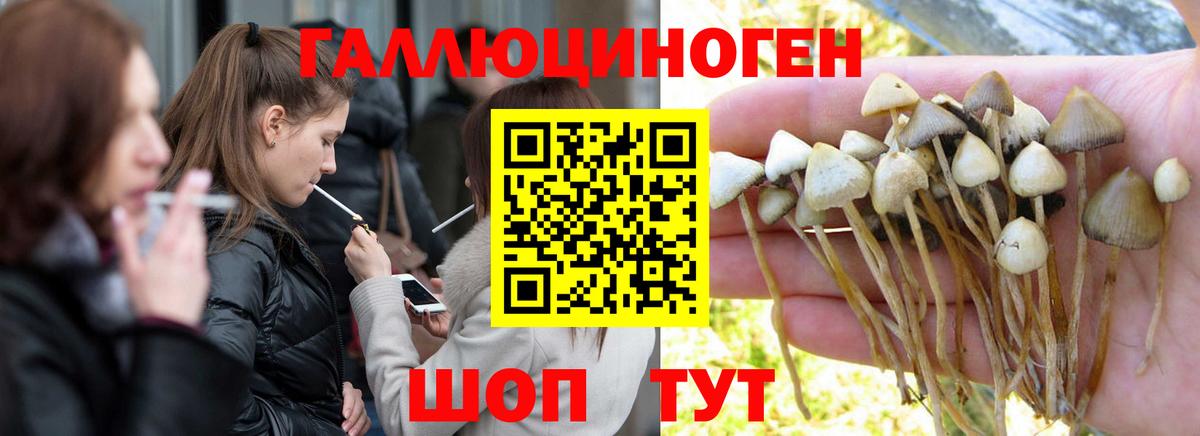 Псилоцибиновые грибы прущие грибы  Галлюциногенные грибы Magic Shrooms  Междуреченск  Вход с VPN 